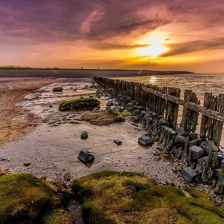 Vissershuisje Aan De Waddenzee Paesens Exterior photo