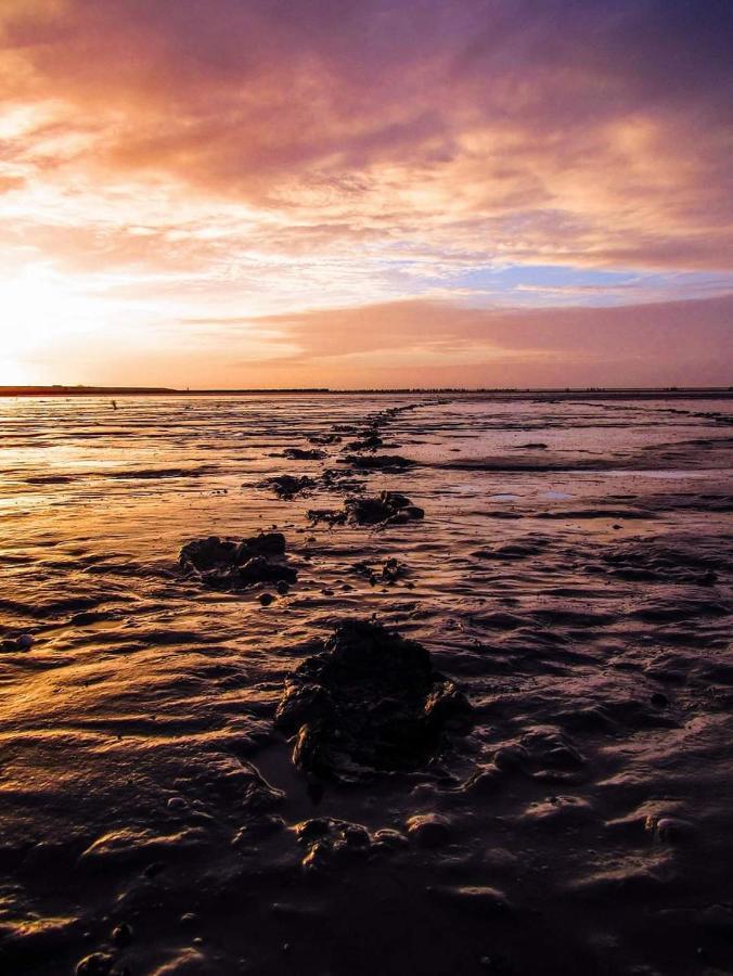 Vakantiehuis Vissershuisje Aan De Waddenzee *